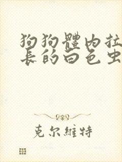 狗狗体内拉出长长的白色虫子