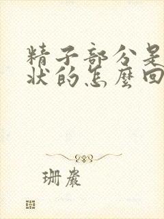 精子部分是果冻状的怎么回事