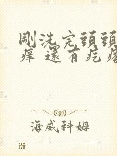 刚洗完头头皮就痒 还有疙瘩