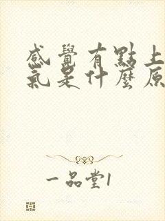 感觉有点上不来气是什么原因