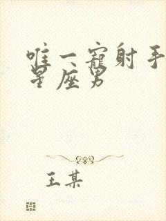 唯一宠射手女的星座男