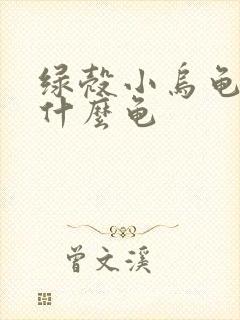 绿壳小乌龟还叫什么龟