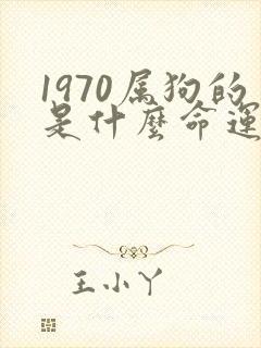 1970属狗的是什么命运呢
