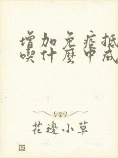 增加免疫抵抗力吃什么中成药