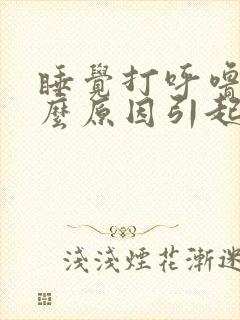 睡觉打呼噜是什么原因引起的