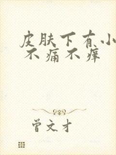 皮肤下有小硬块 不痛不痒