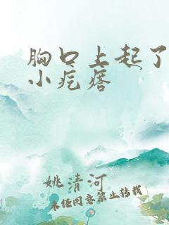 胸口上起了很多小疙瘩