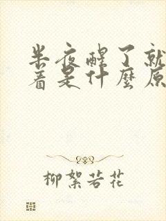 半夜醒了就睡不着是什么原因