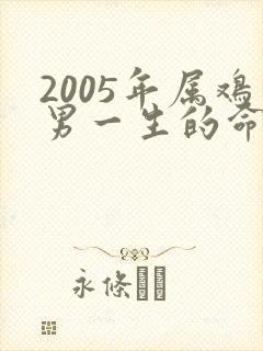 2005年属鸡男一生的命运怎样