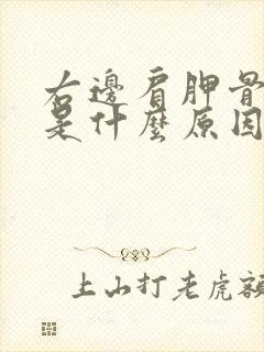 右边肩胛骨发麻是什么原因