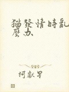 猫发情时乱尿怎么办