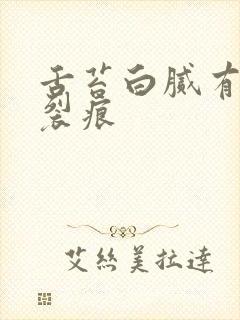 舌苔白腻有齿痕裂痕