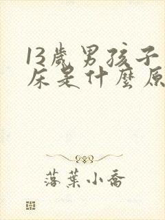 13岁男孩子尿床是什么原因