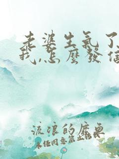 老婆生气了不理我,怎么发信息哄她