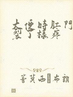 大便时肛门像撕裂了样疼