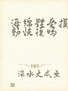 海绵体受损能自动恢复吗