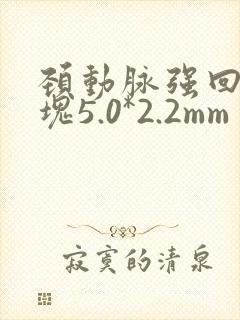颈动脉强回声斑块5.0*2.2mm
