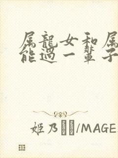 属龙女和属羊男能过一辈子吗