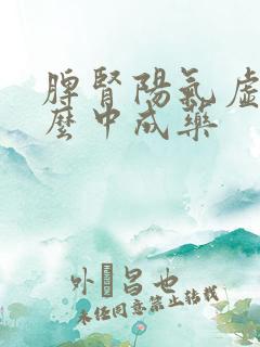 脾肾阳气虚吃什么中成药