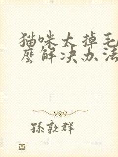 猫咪太掉毛有什么解决办法