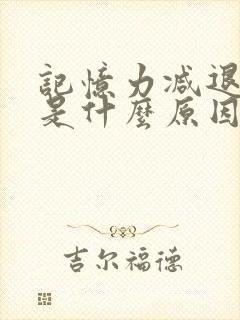 记忆力减退健忘是什么原因