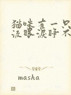 猫咪有一只眼睛流眼泪睁不开还有眼屎