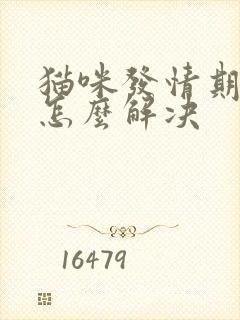 猫咪发情期乱尿怎么解决