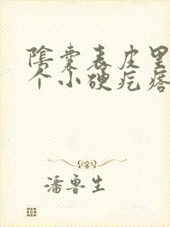 阴囊表皮里面有个小硬疙瘩怎么回事