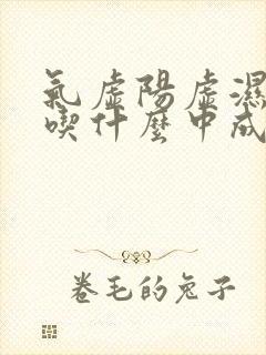 气虚阳虚湿气重吃什么中成药