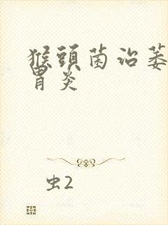 猴头菌治萎缩性胃炎