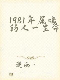 1981年属鸡的人一生命运如何