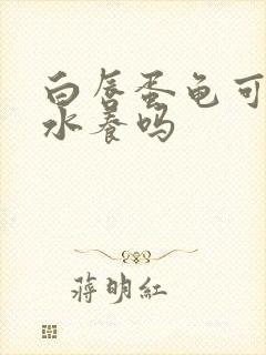 白唇蛋龟可以深水养吗