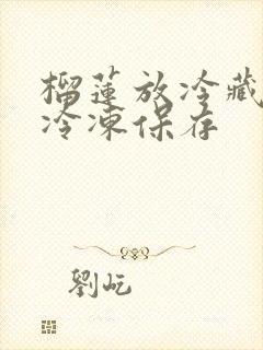 榴莲放冷藏还是冷冻保存