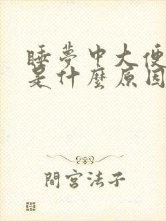 睡梦中大便失禁是什么原因造成的