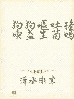 狗狗呕吐后可以吃益生菌吗