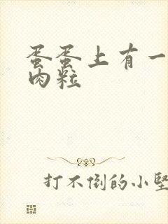 蛋蛋上有一个小肉粒