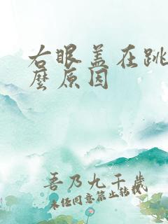 右眼盖在跳是什么原因