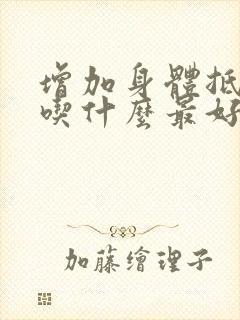 增加身体抵抗力吃什么最好