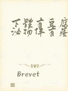 下体有豆腐渣分泌物伴有瘙痒用啥药