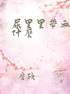 尿里里带血是为什么