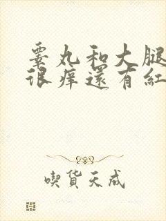 睾丸和大腿内侧很痒还有红疙瘩