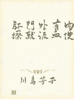 肛门外有肉球一擦就流血便血