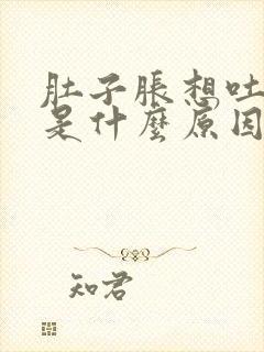 肚子胀想吐头晕是什么原因