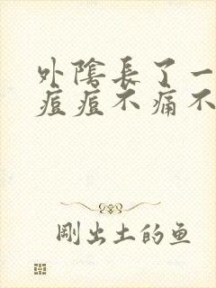 外阴长了一个小痘痘不痛不痒