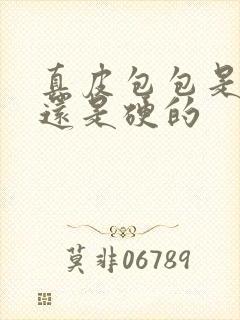 真皮包包是软的还是硬的