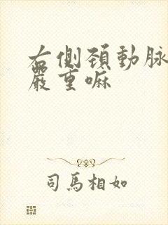 右侧颈动脉斑块严重嘛