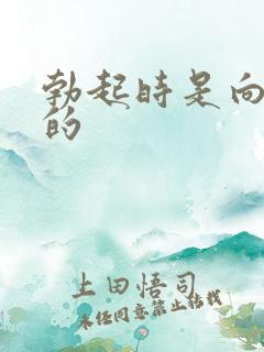 勃起时是向下弯的