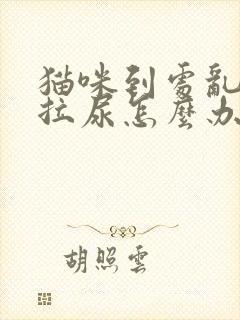 猫咪到处乱拉屎拉尿怎么办