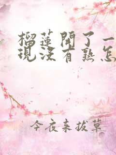 榴莲开了一半发现没有熟怎么办