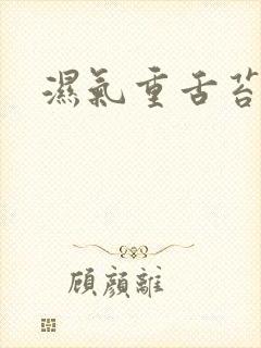 湿气重舌苔白黄